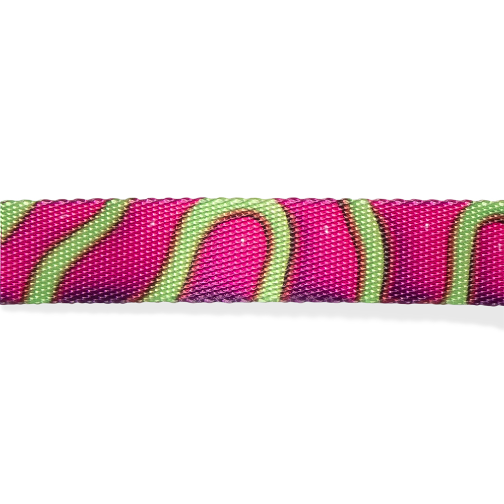 Peitoral para Cachorros H H3D Jelly