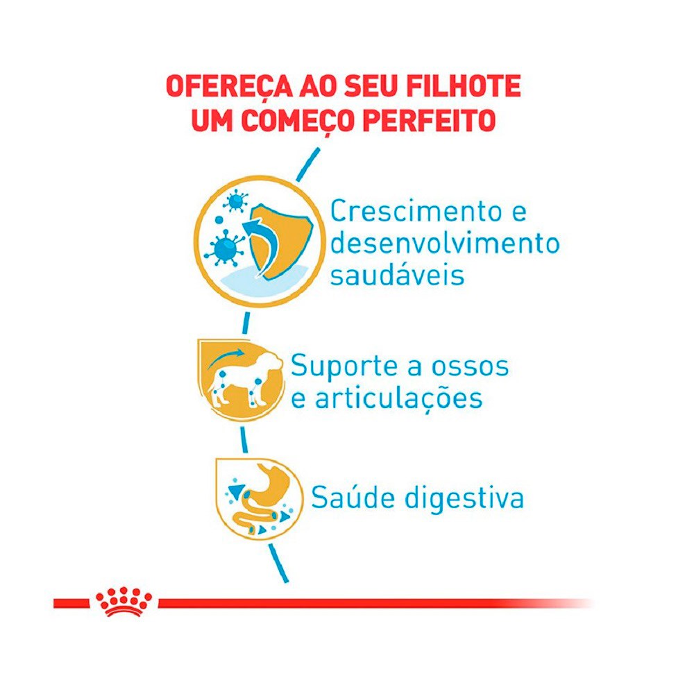 Ração Royal Canin Dachshund para Cães Filhotes 