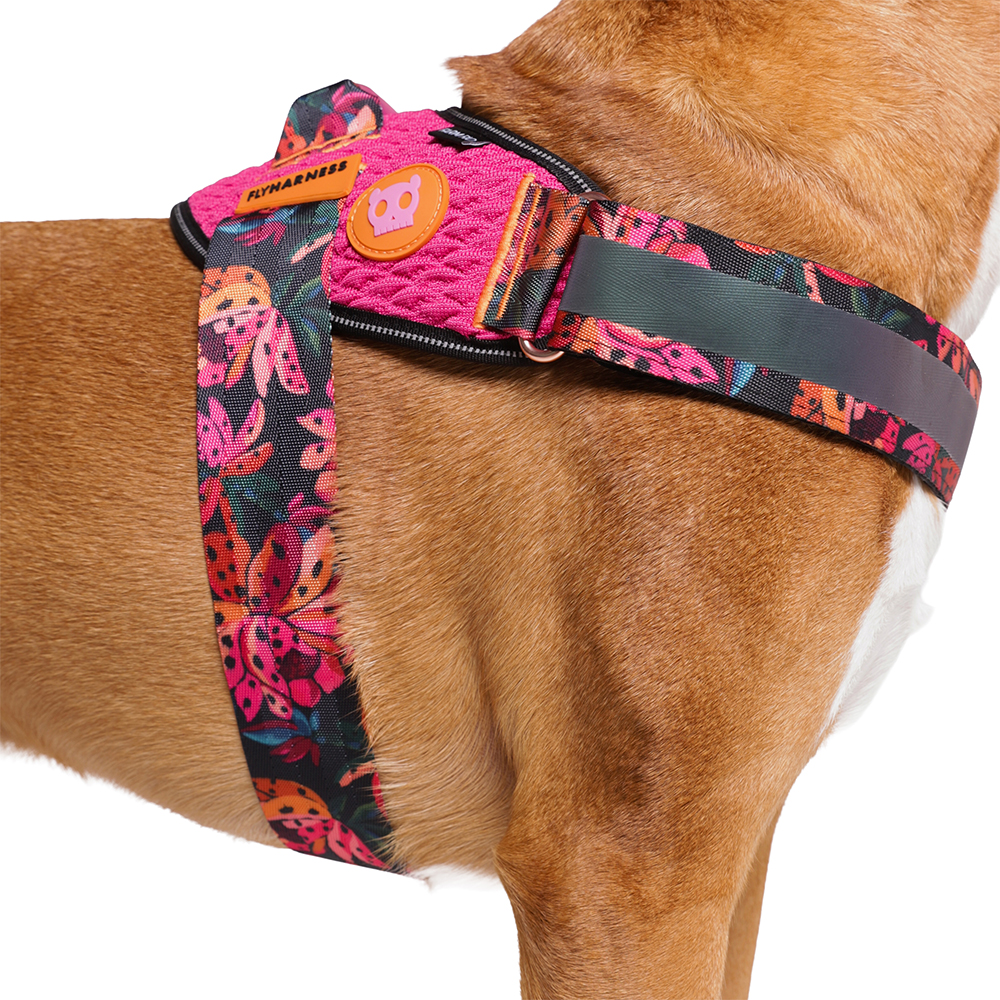 Peitoral para Cachorros FlyHarness FARM Rio Selva