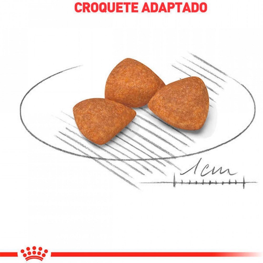 Ração Royal Canin X-Small Ageing +12 para Cães Idosos acima de 12 Anos de Porte Miniatura