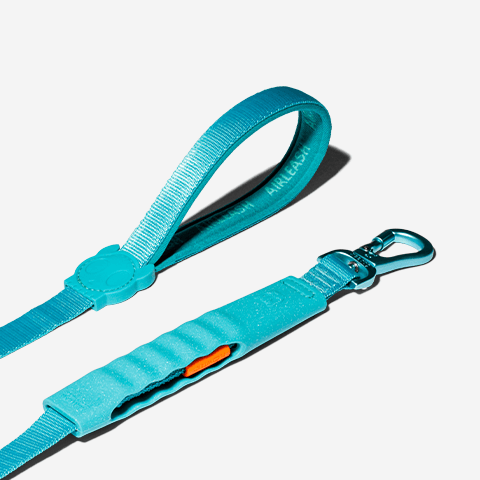 Guia para cachorros Airleash Blue | Zee.Dog