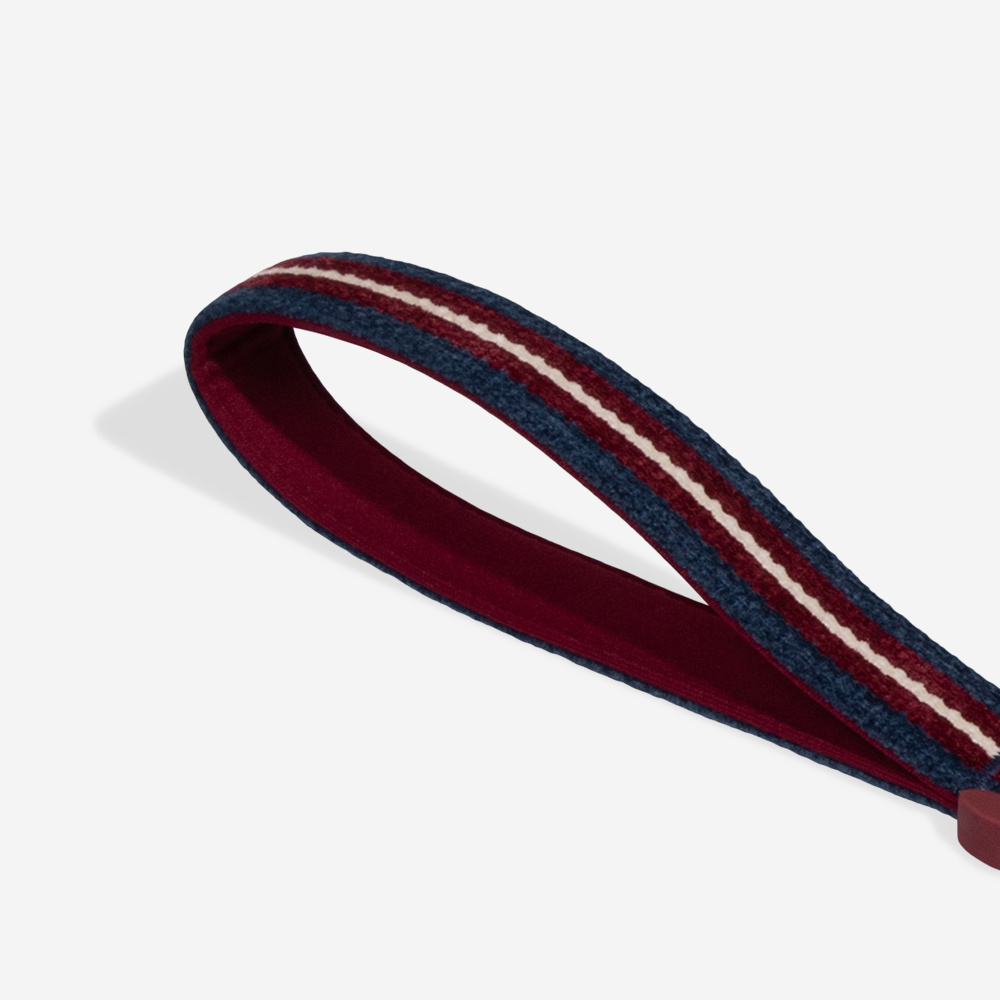 Guia com Amortecedor para Cachorros Velvet Vibes Dropout | Imagem 3