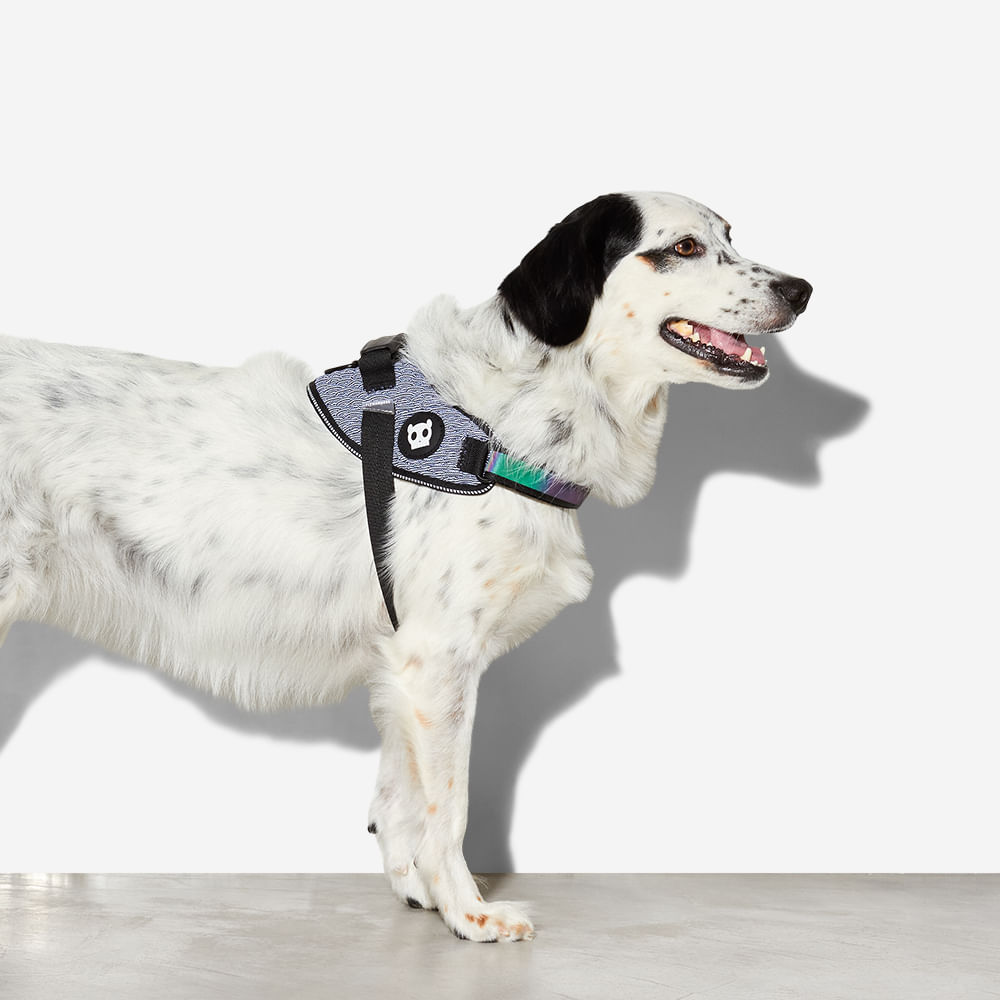 Peitoral para Cachorros FlyHarness Urban | Zee.Dog