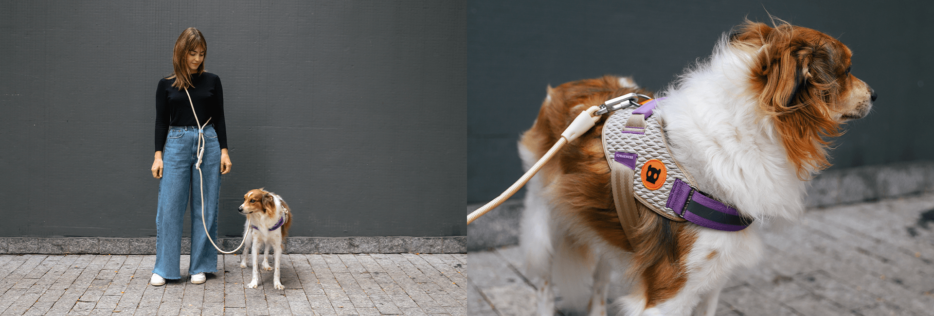 Peitoral para Cachorros FlyHarness ACG | Lifestyle Images