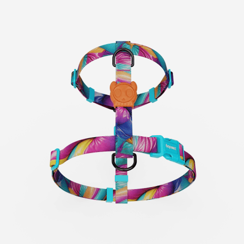 Peitoral para Cachorros H H3D Bounce | Zee.Dog