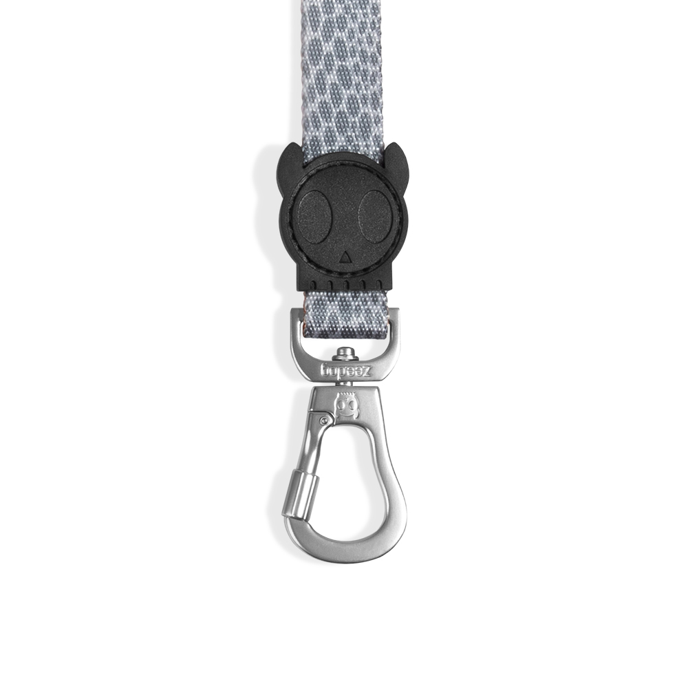 Guia para Cachorros Reebok Suede