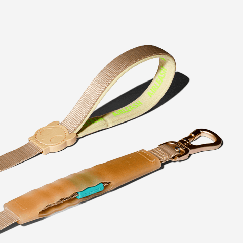 Guia para Cachorros Airleash Kim 1,5M