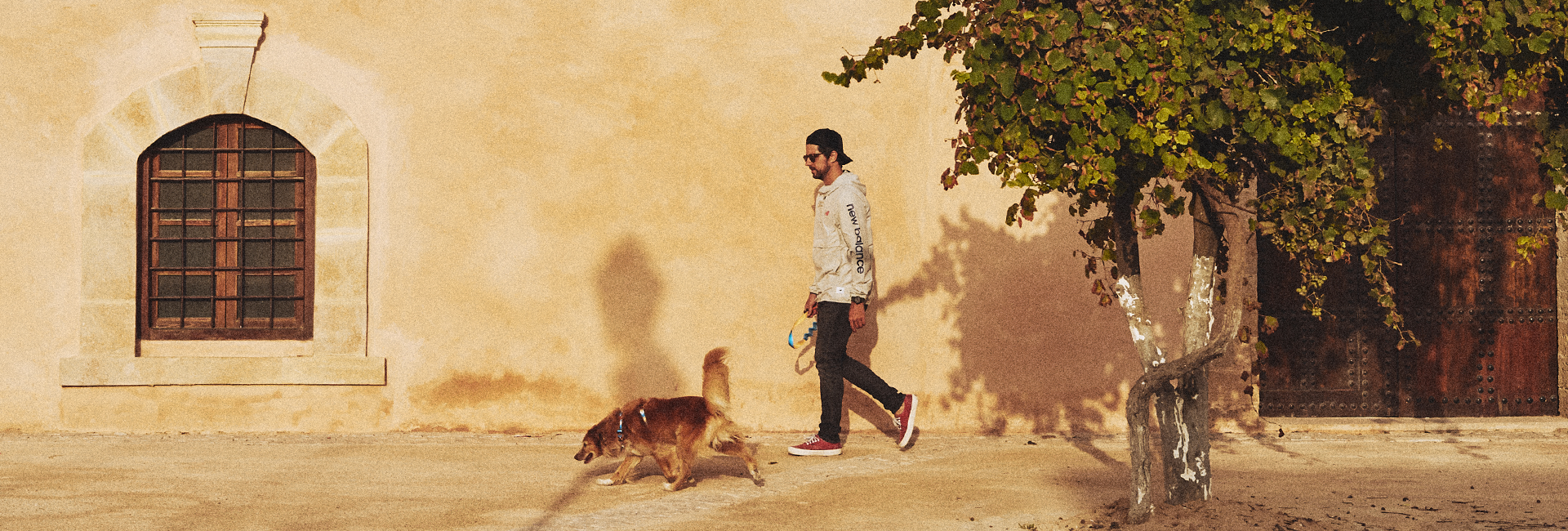 Peitoral para Cachorros H Yansun | Lifestyle Images