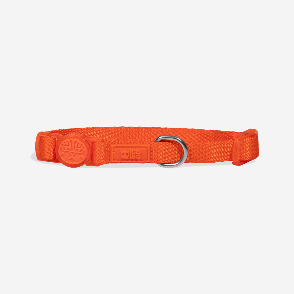 Coleira CDSG x Zee.Dog para Gatos Laranja | Imagem 0