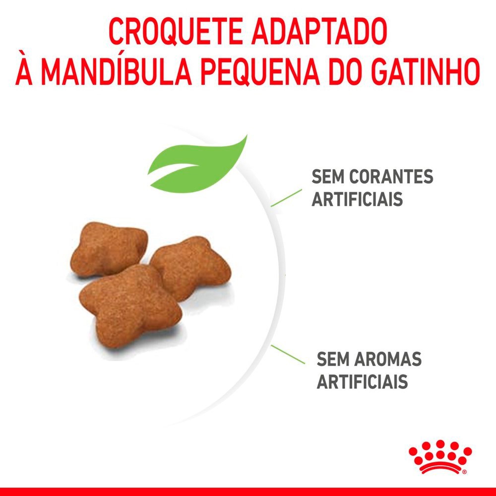 Ração Royal Canin Sterilised para Gatos Filhotes