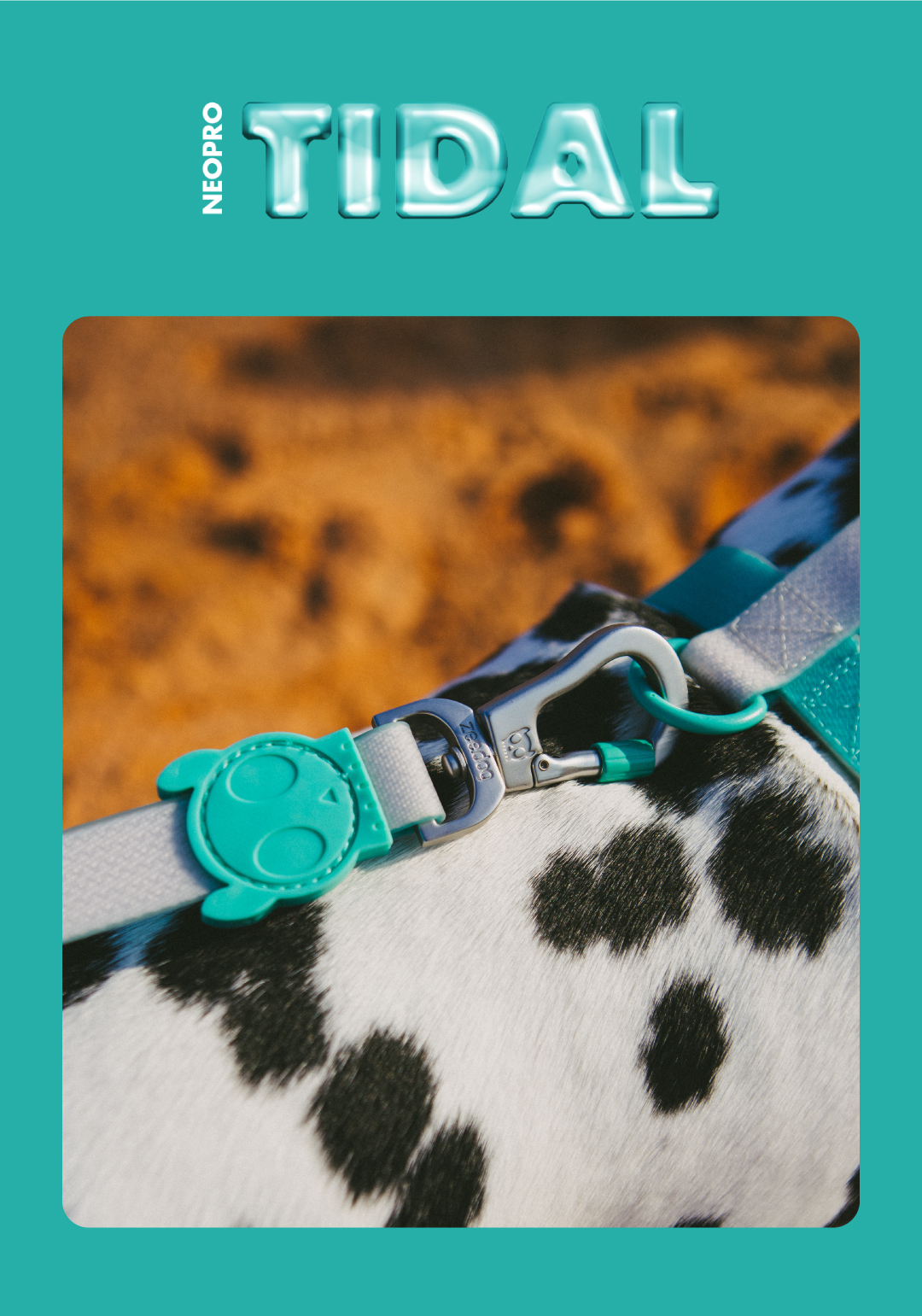 Guia para Cachorros Neopro Tidal