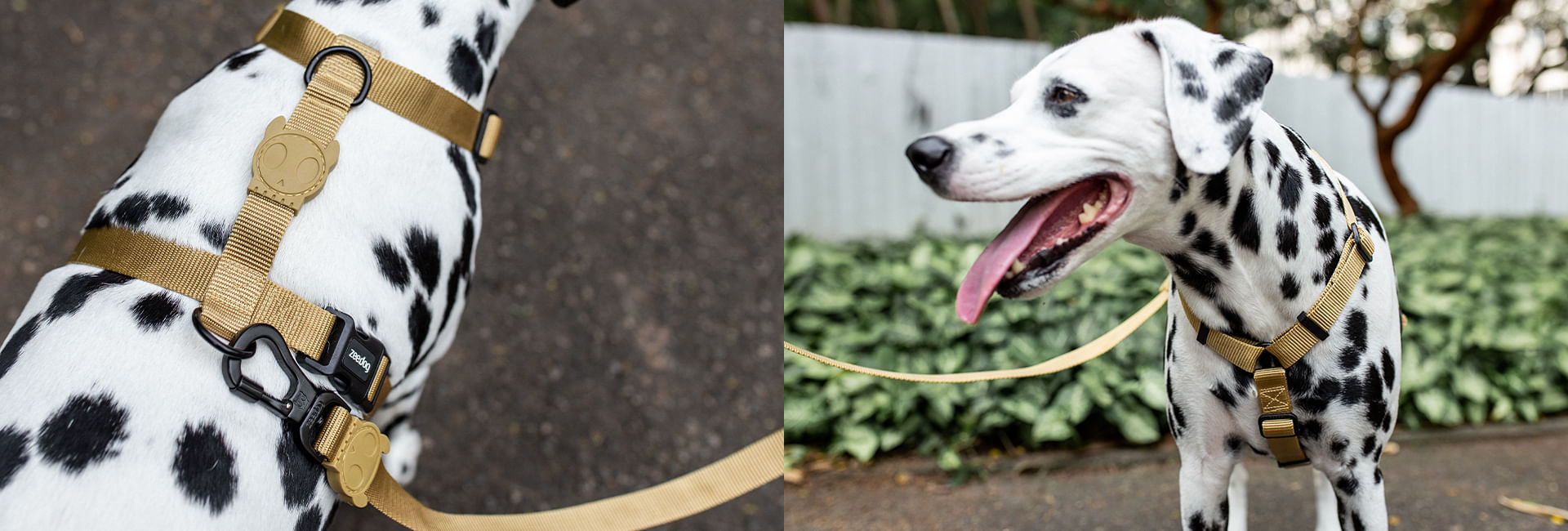 Peitoral para Cachorros H Sand | Lifestyle Images