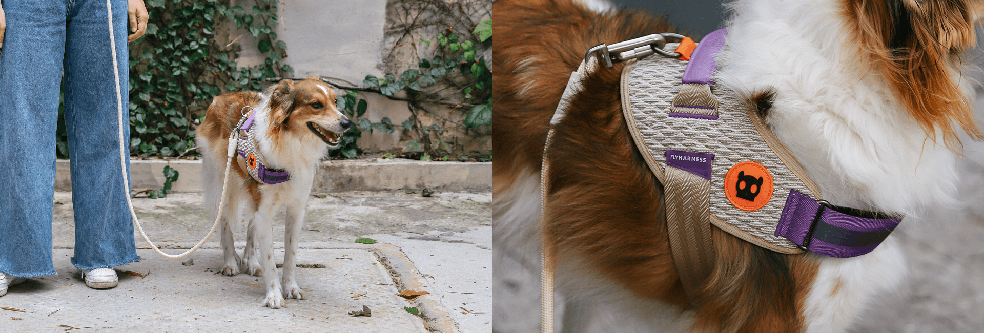 Peitoral para Cachorros FlyHarness ACG | Lifestyle Images