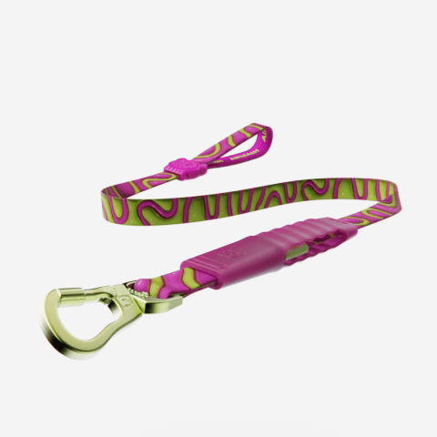 Guia para Cachorros Airleash H3D Jelly  | Zee.Dog