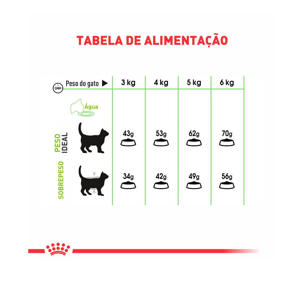 Ração Royal Canin Digestive Care Cuidado Digestivo para Gatos Adultos