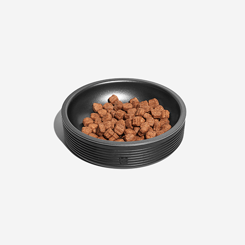 Comedouro Zee.Cat Duo Bowl Black para Gatos | Zee.Dog
