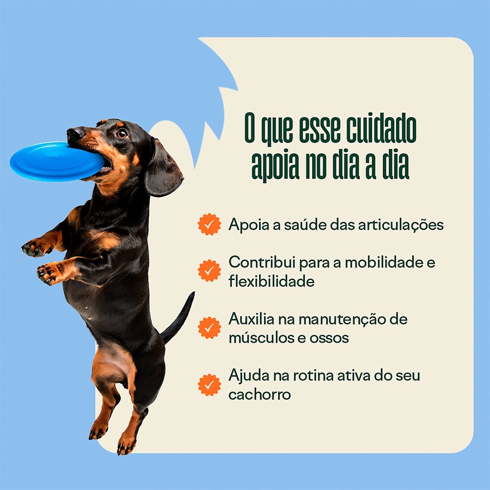 Suplemento Wigow Ossos e Juntas para Cães