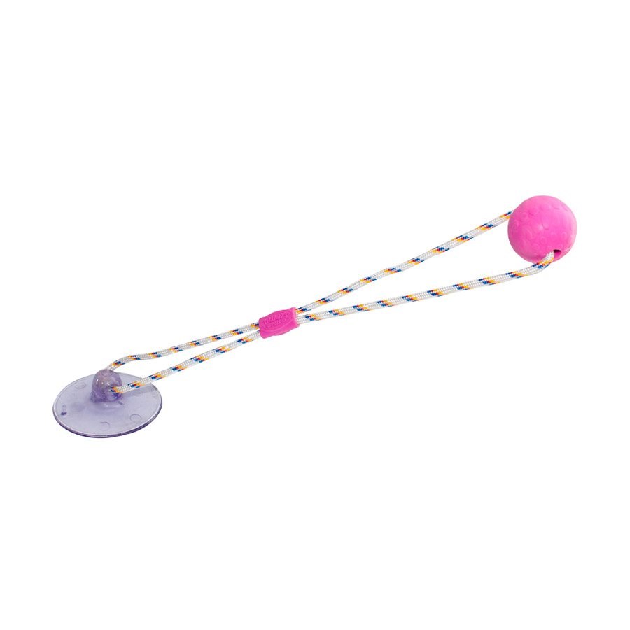 Brinquedo Truqys Push Ball Pet Rosa