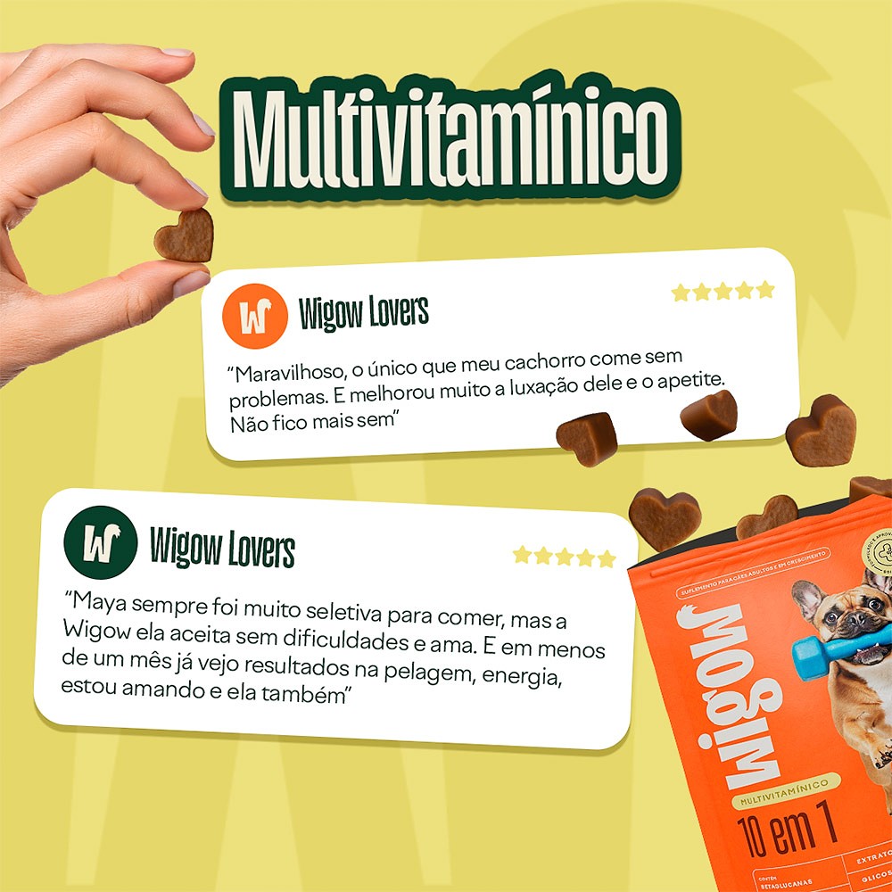 Suplemento Wigow Multivitamínico 10 em 1 para Cães