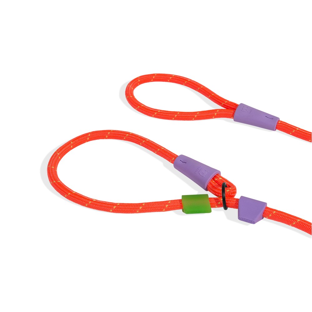 Guia Unificada para Cachorros Slip-N-Lock Everest 
