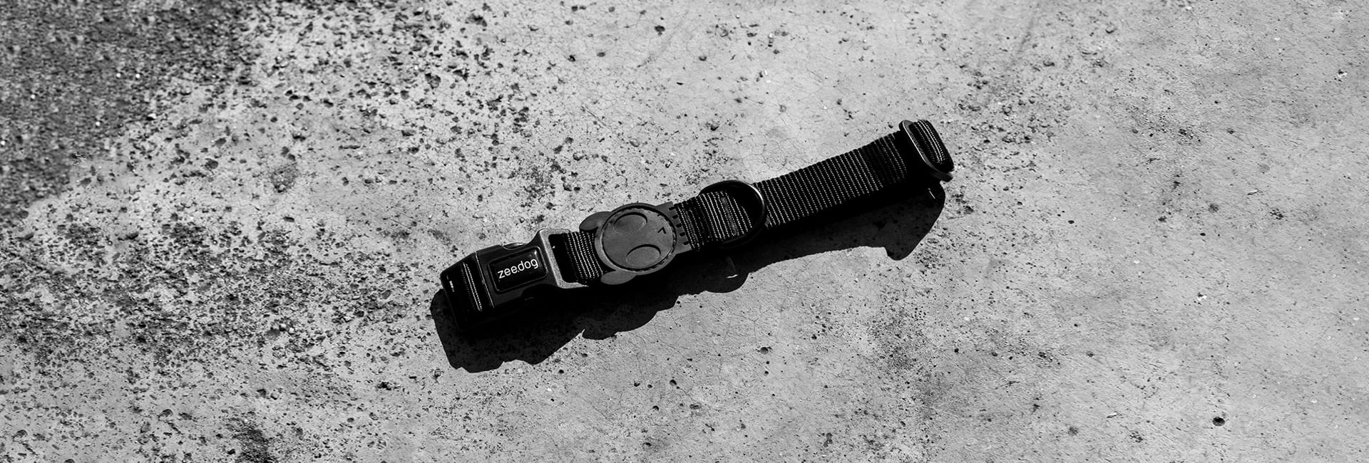 Coleira para Cachorros Gotham | Lifestyle Images