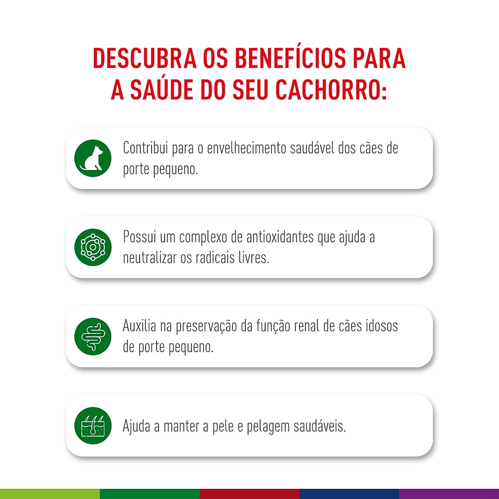 Ração Royal Canin Mini Ageing 12+ para Cães Idosos acima de 12 Anos de Porte Pequeno