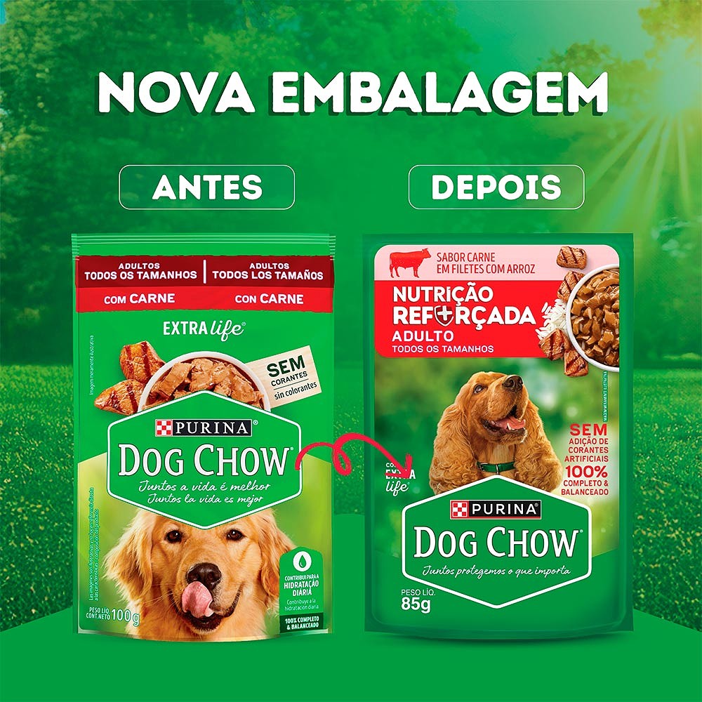 Ração Úmida Dog Chow Nutrição Reforçada para Cães Adultos sabor Carne em Filetes com Arroz