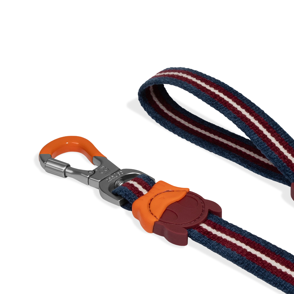 Guia para Cachorros Velvet Vibes Dropout