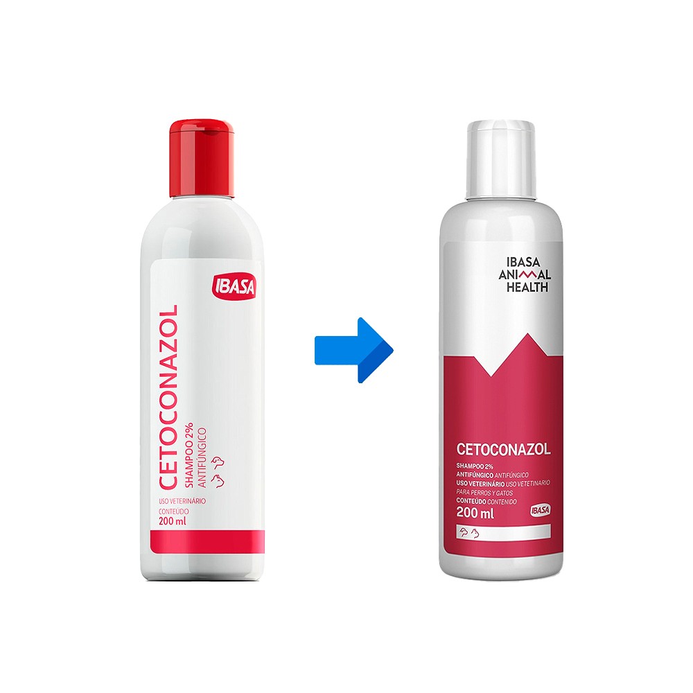 Cetoconazol Shampoo 2% 