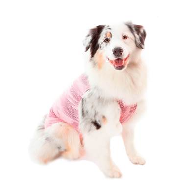 Roupa Cirúrgica Pet Med Ultra Light Regular Ball Rosa para Cães 00