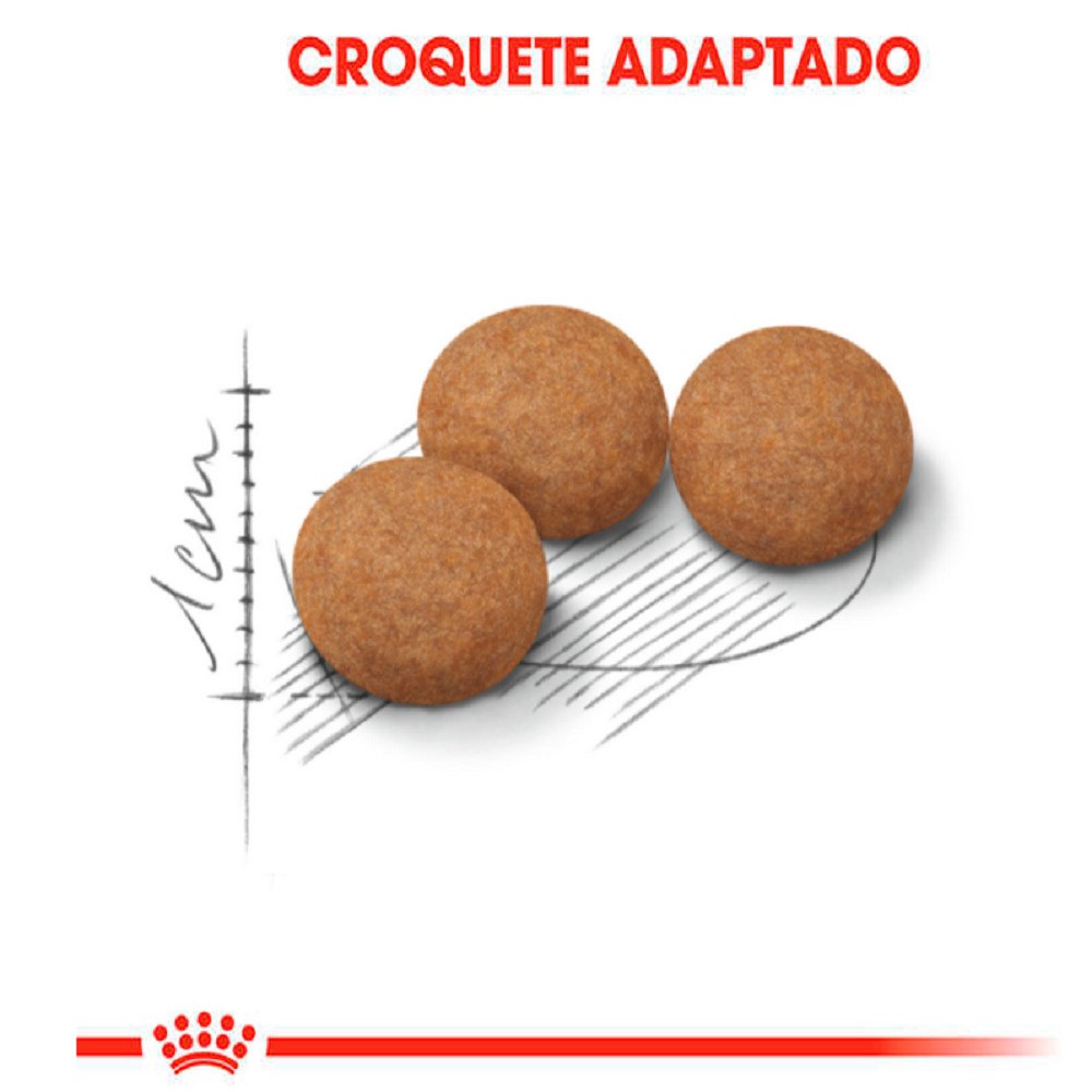 Ração Royal Canin Sterilised para Gatos Adultos Castrados a partir de 12 anos de idade