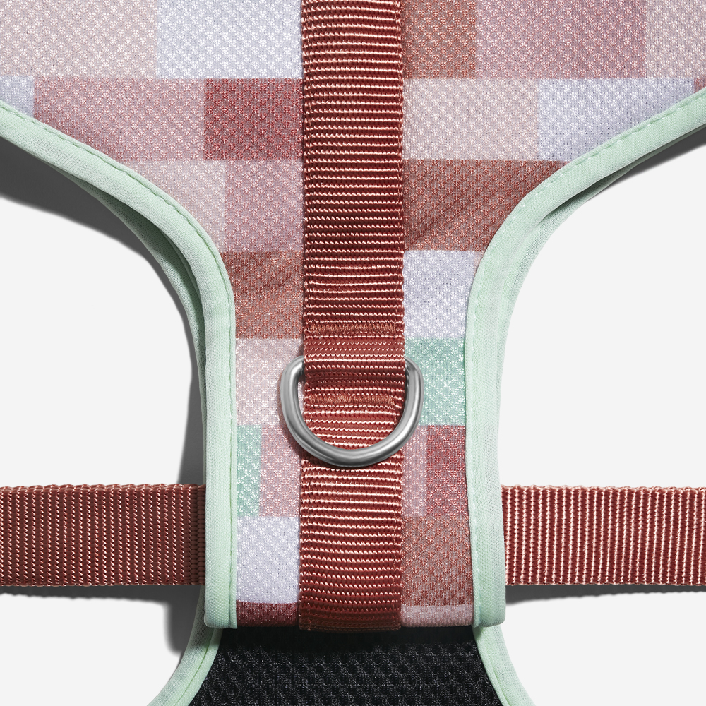 Peitoral para Cachorros Air Mesh Laguna | Imagem 4