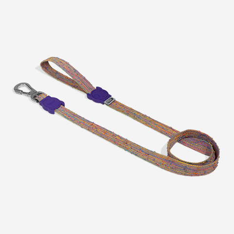 Guia para Cachorros Fuse UFO | Zee.Dog