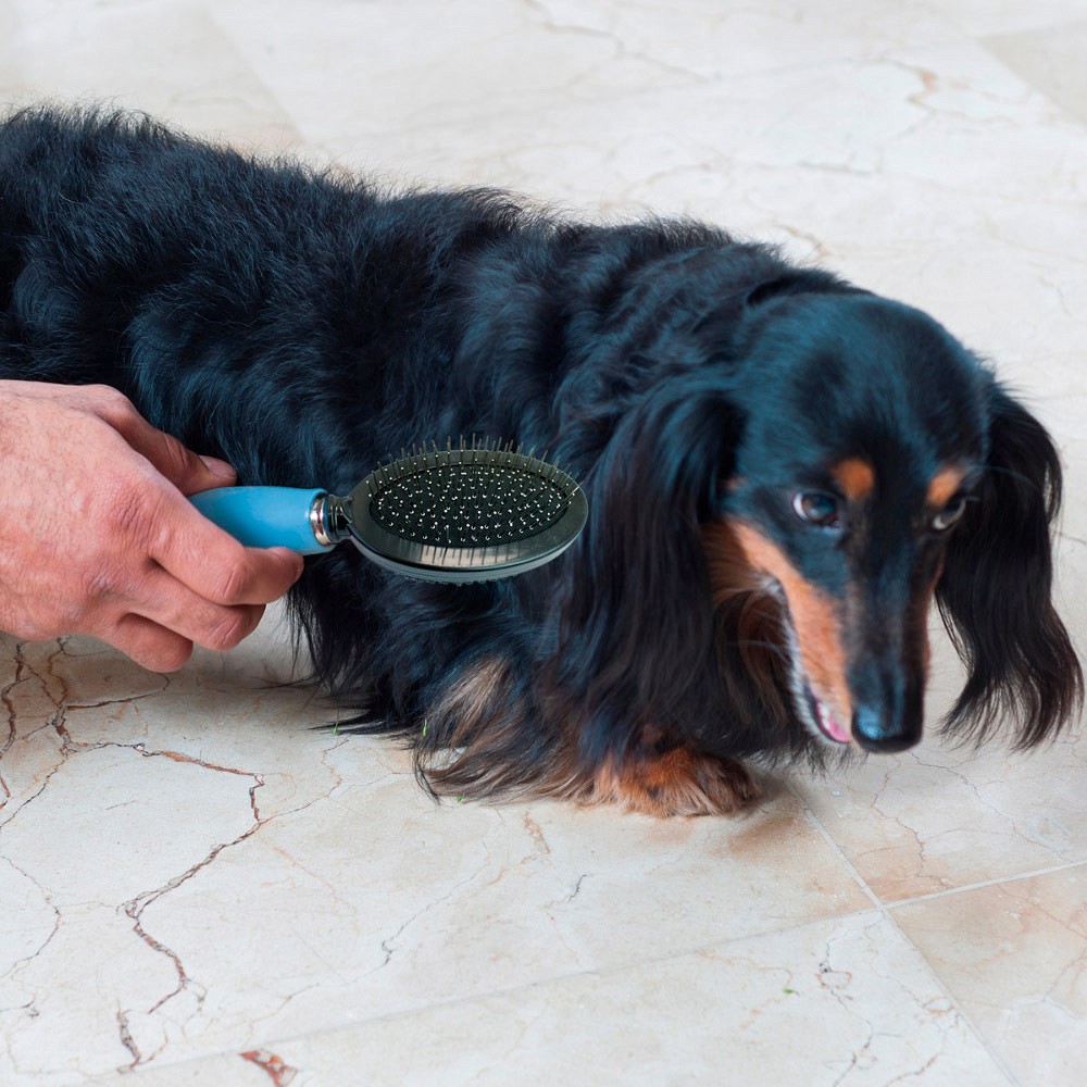 Escova Dupla Germanhart Gel Azul para Cães