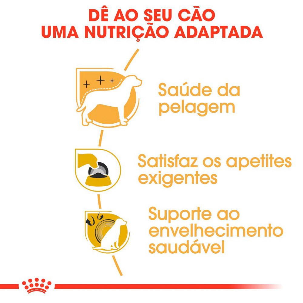 Ração Royal Canin para Cães Adultos da Raça Yorkshire