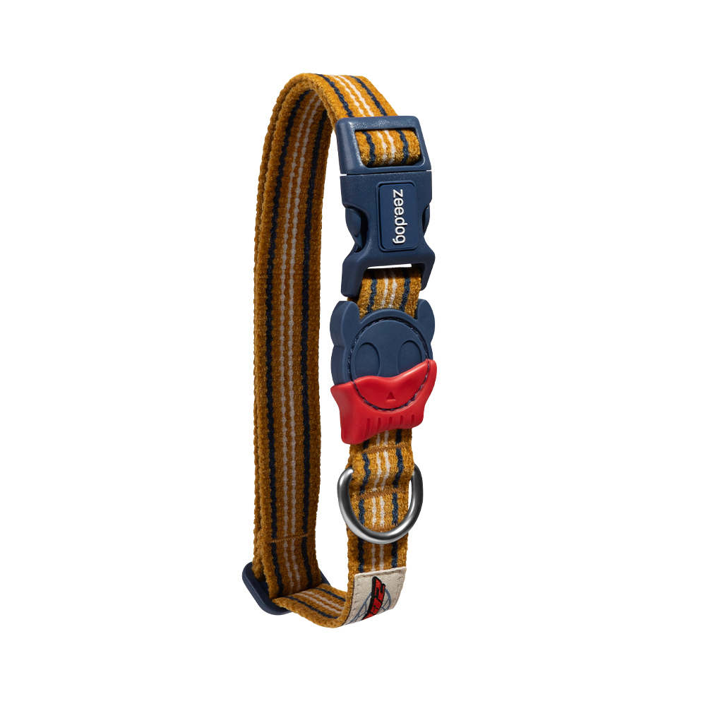 Coleira para Cachorros Velvet Vibes Misfit
