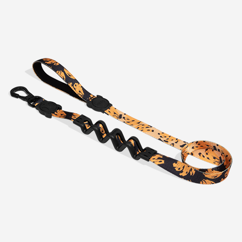 Guia com Amortecedor para Cachorros FARM Rio Bossa Banana