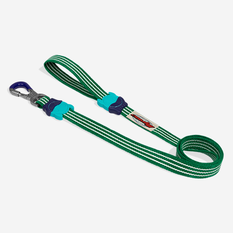 Guia para Cachorros Velvet Vibes Vert | Zee.Dog