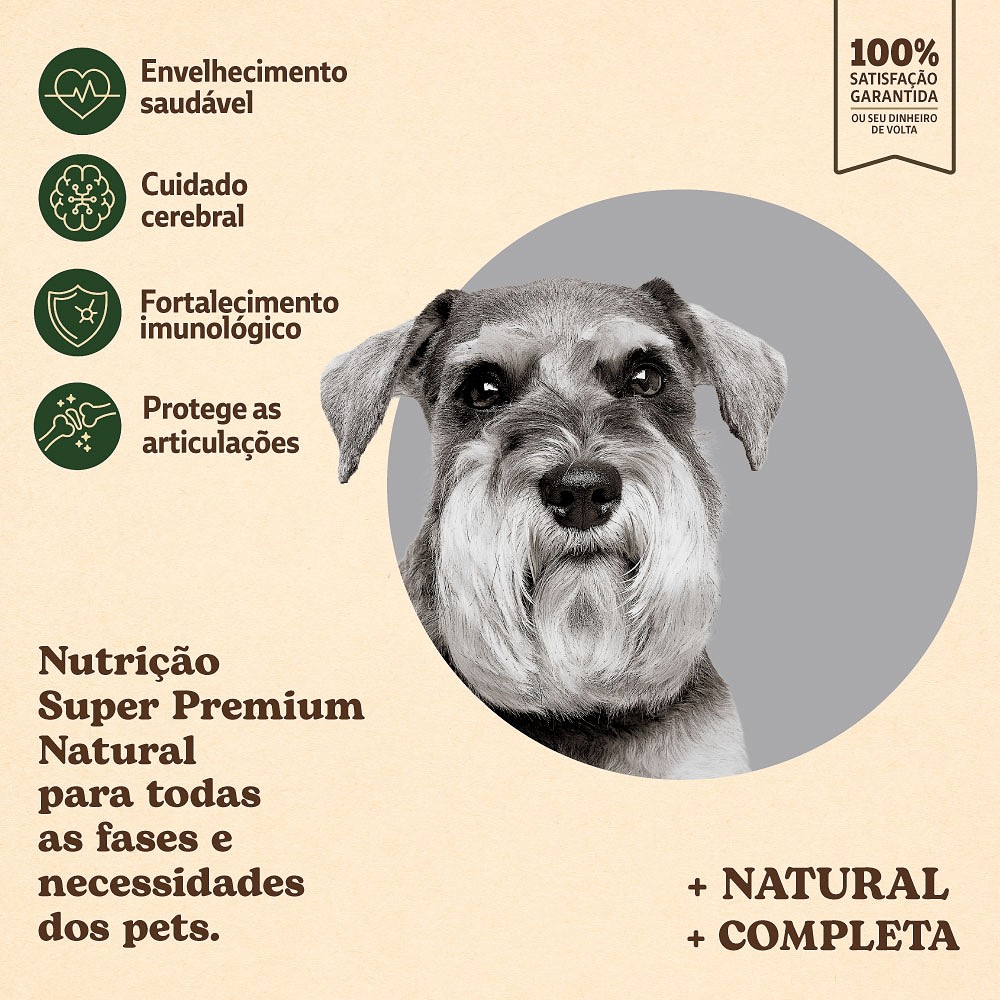 Ração Quatree Supreme para Cães Sênior +7 De Porte Pequeno sabor Salmão e Frango