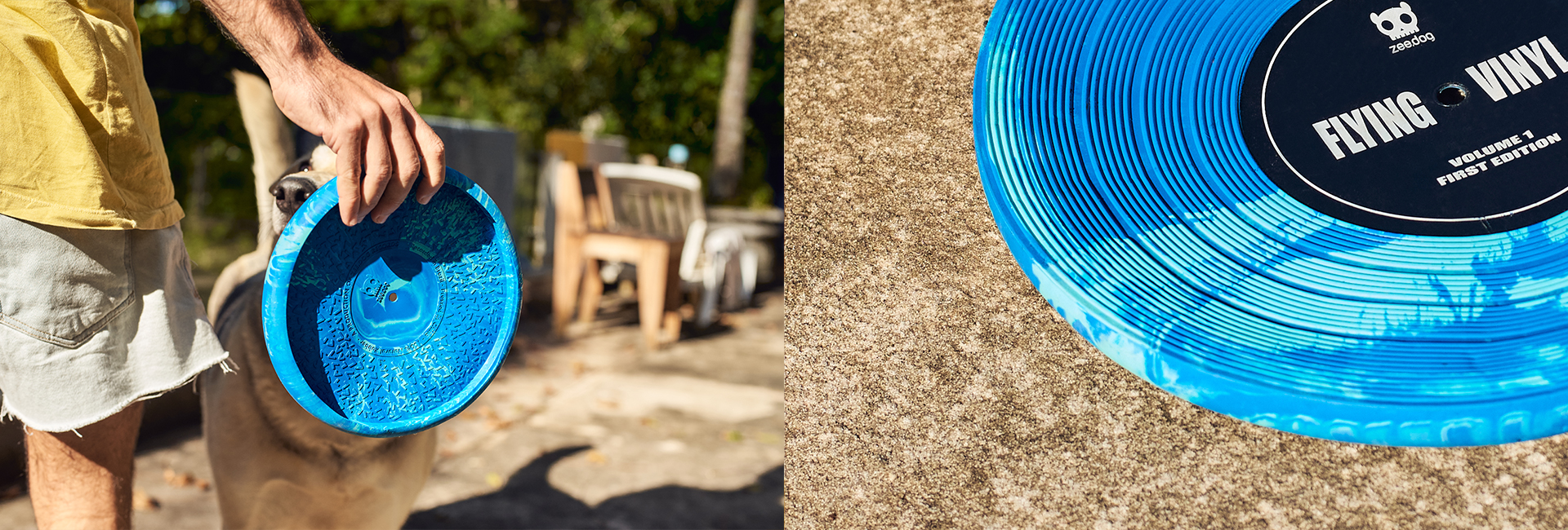 Brinquedo para Cachorros Vinyl Frisbee | Lifestyle Images