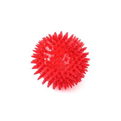 Brinquedo Spike para Cães Bola Spiky Grande G