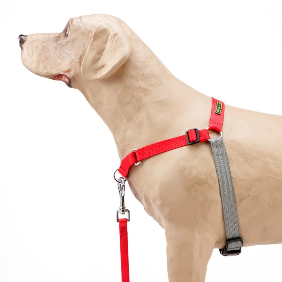 Peitoral K9 Spirit Treinamento para Cães Vermelho