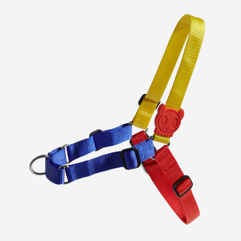 Peitoral para Cachorros Antipuxão Puzzle | Zee.Dog