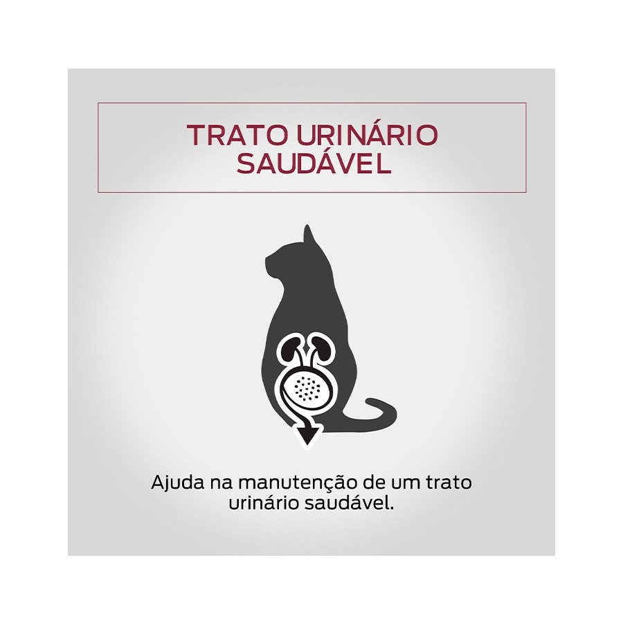 Ração Pro Plan Sachê Adult para Gatos Adultos sabor Frango ao Molho