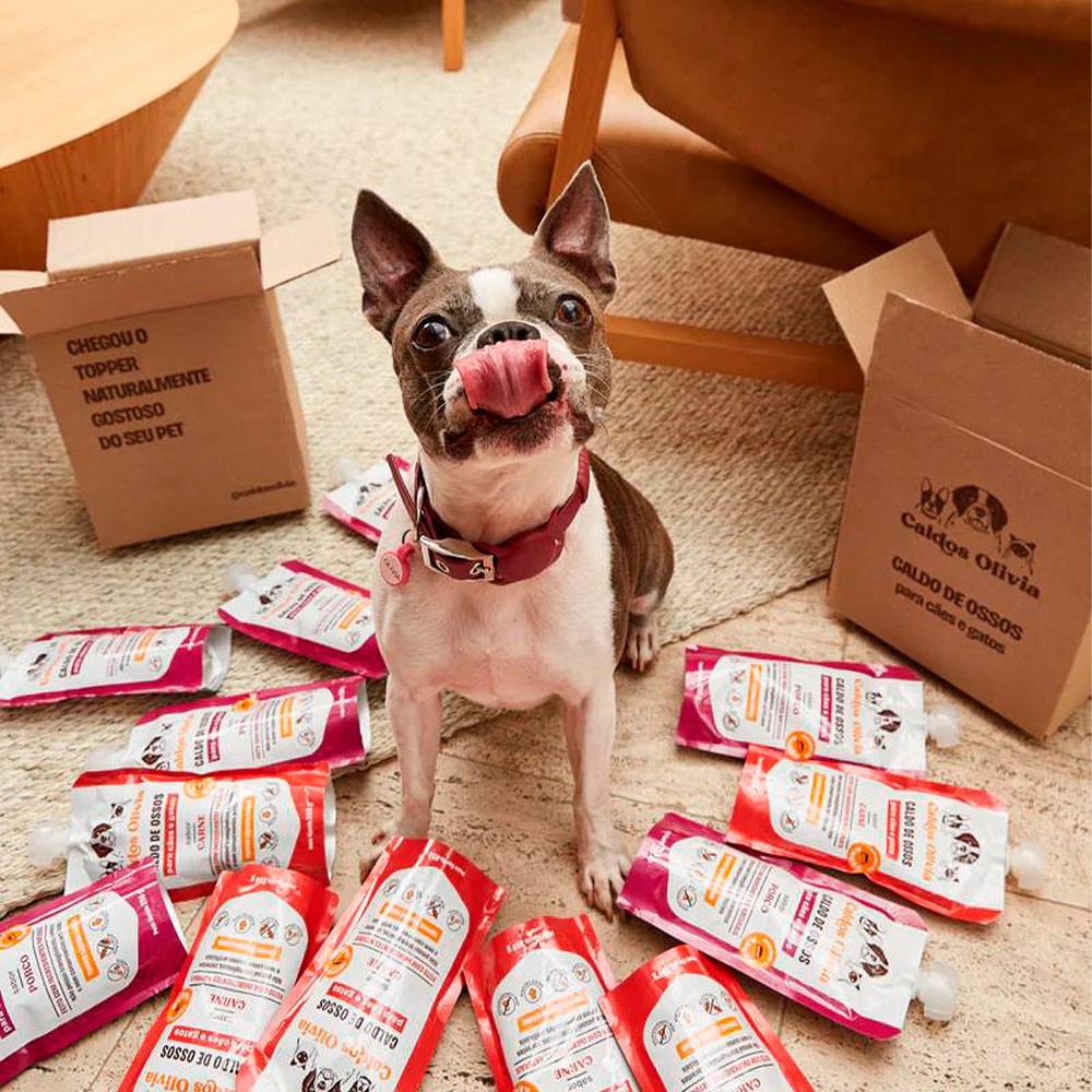 Sachê Caldos Olivia sabor Carne para Cães e Gatos