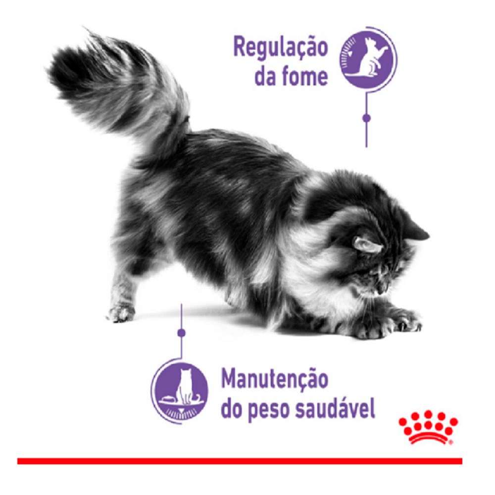 Ração Royal Canin Sachê Controle do Apetite para Gatos Adultos