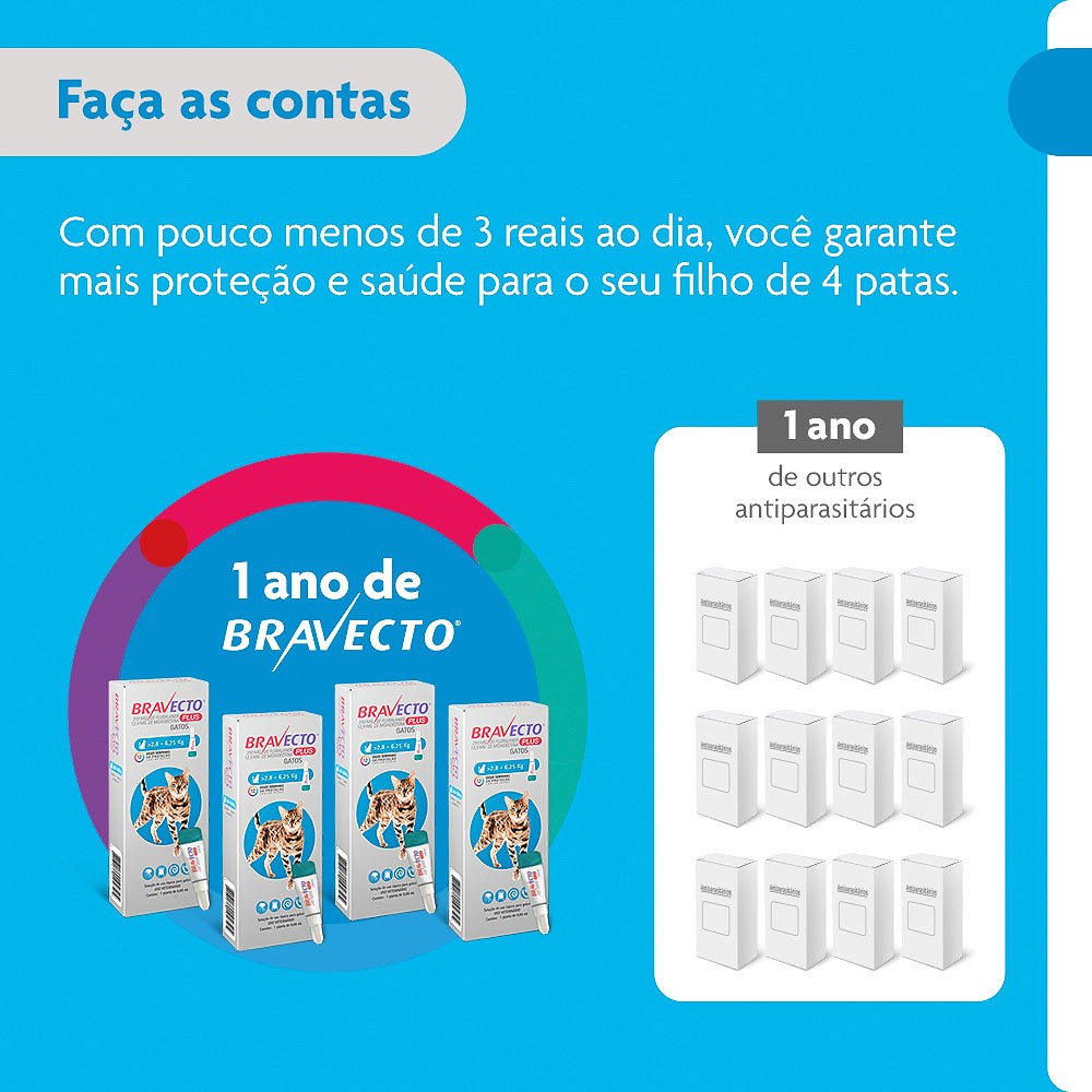 Antipulgas Bravecto Transdermal Plus para Gatos - 1 Pipeta de 250mg