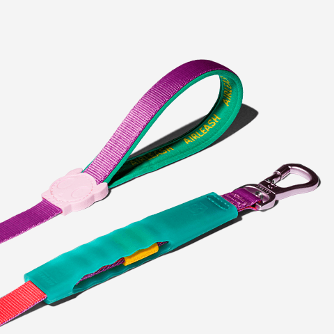 Guia para Cachorros Airleash Cali Dos 1.5M