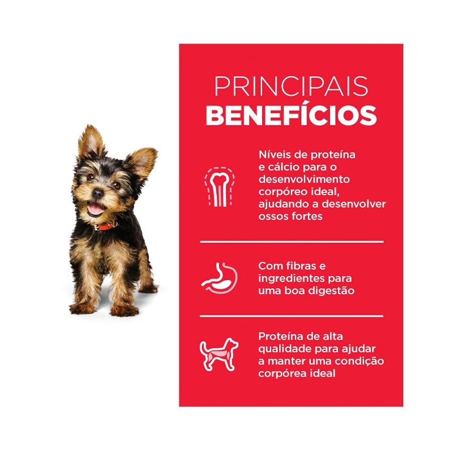 Ração Hill's Science Diet para Cães Filhotes Raças Pequenas e Miniatura