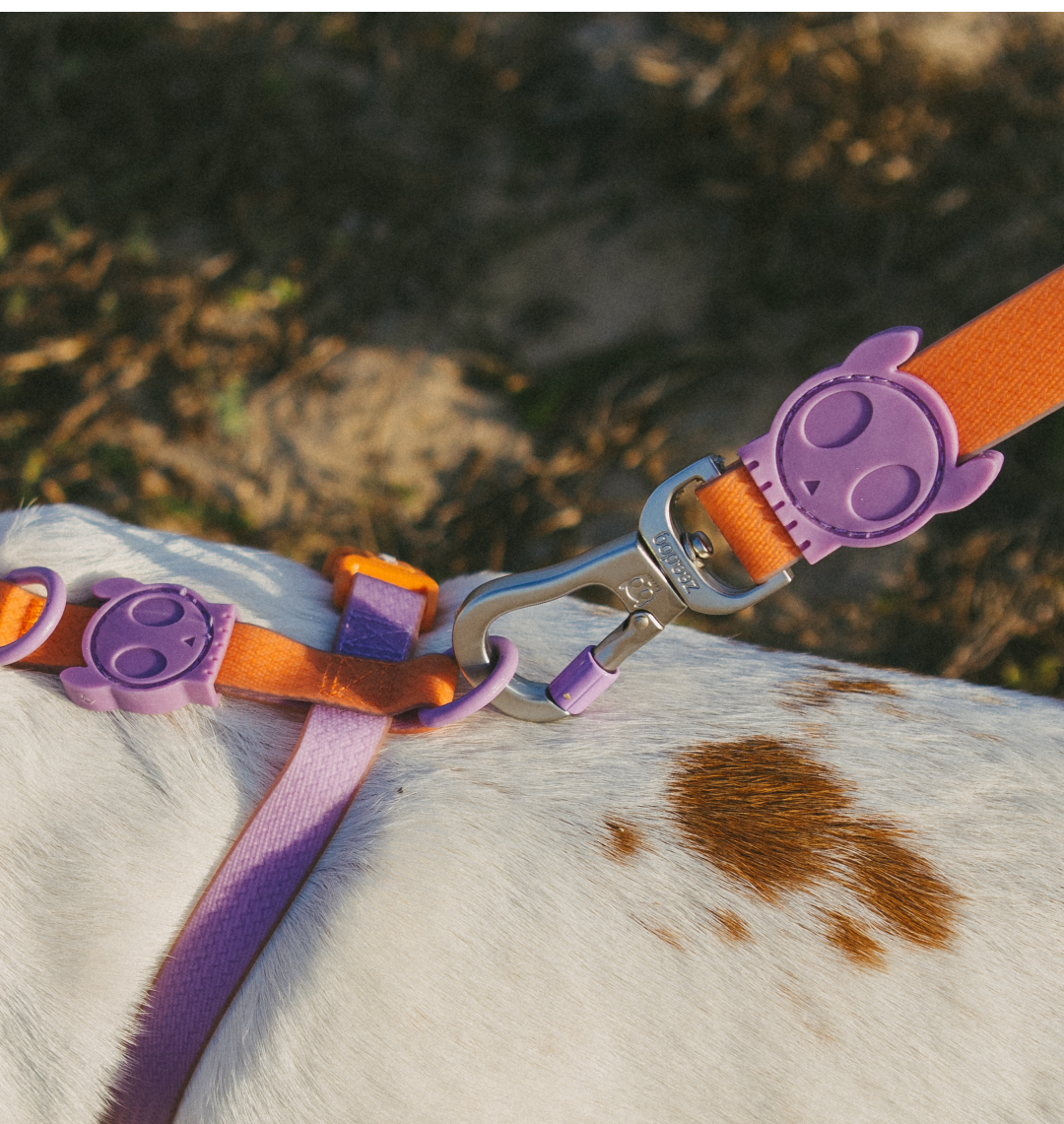 Guia para Cachorros Neopro Iris
